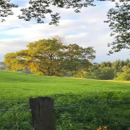 Luxury Pet Friendly In Bi Vre Near Forest *