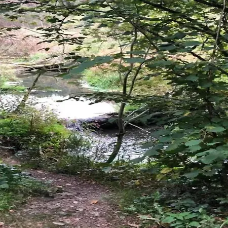 Luxury Pet Friendly In Bi Vre Near Forest