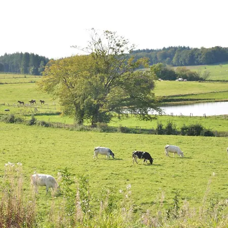 Luxury Pet Friendly In Bi Vre Near Forest Chalet Bievre