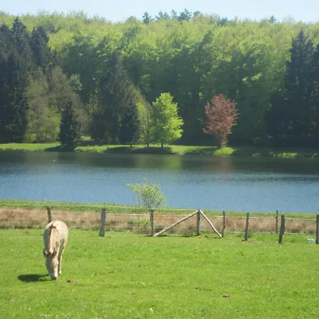 Luxury Pet Friendly In Bi Vre Near Forest Bievre